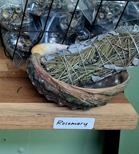 Specialty Sage - Rosemary